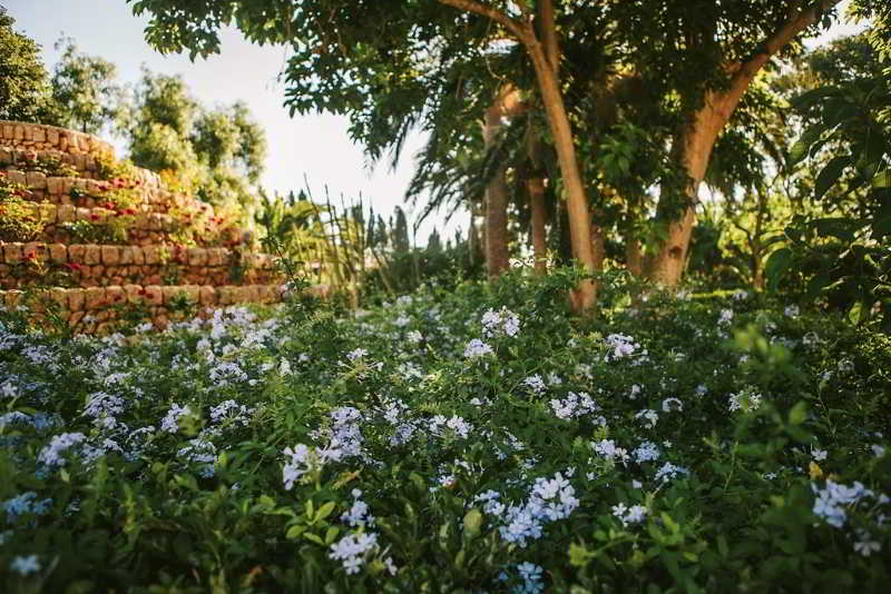Son Julia Country House & Spa